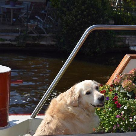 Bed and Breakfast Aurora Schiedam Exterior foto